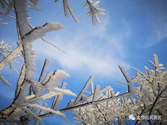 「金頂●冬雪」忽如一夜春風(fēng)來，千樹萬樹梨花開