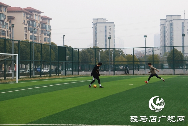 跑步、打球、 踢球…安排！駐馬店市體育場免費開放啦~