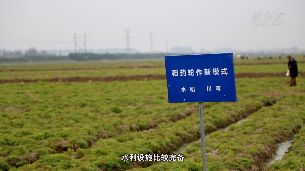 從中央農(nóng)村工作會議看2023年&ldquo;三農(nóng)&rdquo;工作這么干