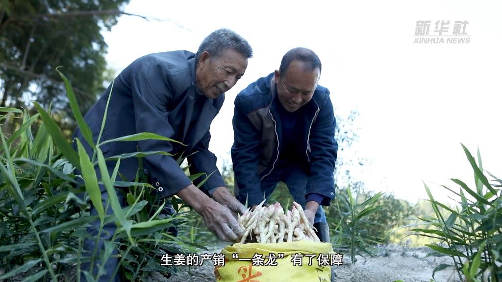 從中央農(nóng)村工作會議看2023年&ldquo;三農(nóng)&rdquo;工作這么干