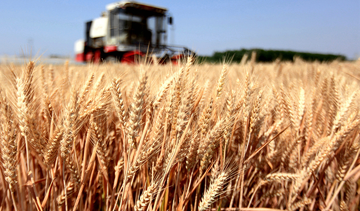 新華網(wǎng)評：“穩(wěn)”字當(dāng)頭，端牢中國飯碗