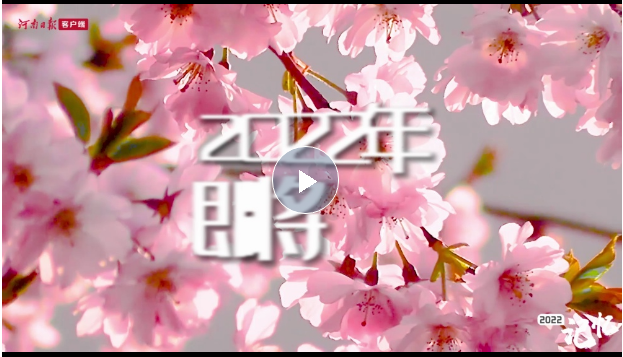  2022記憶｜河南顏色