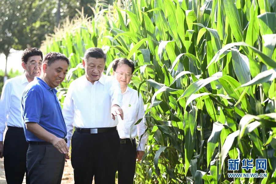  學習語 | 大力推進農(nóng)業(yè)農(nóng)村現(xiàn)代化