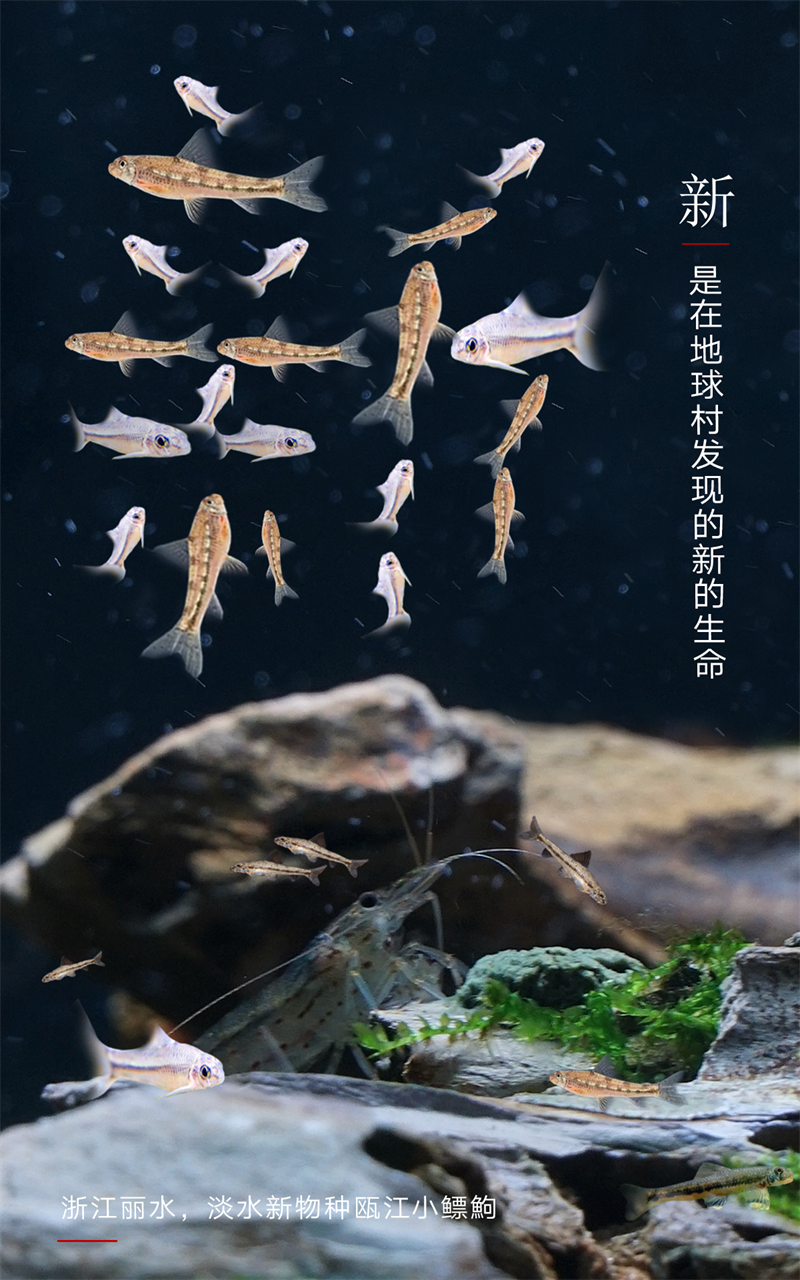 2023，上“新”了