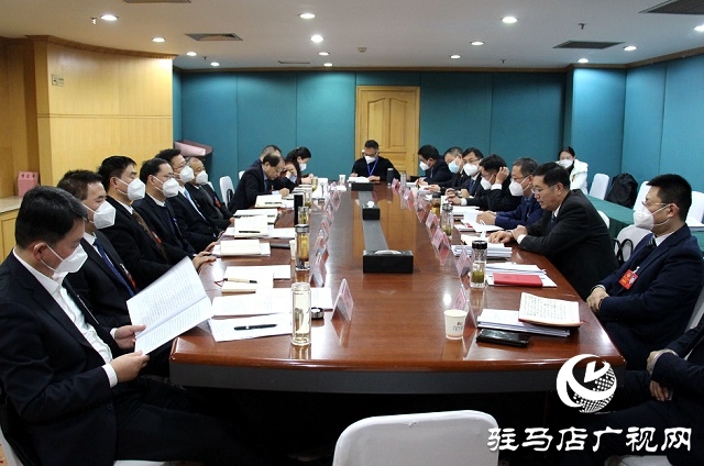 兩會時間｜駐馬店市政協(xié)委員分組討論《政府工作報告》和計劃、財政報告