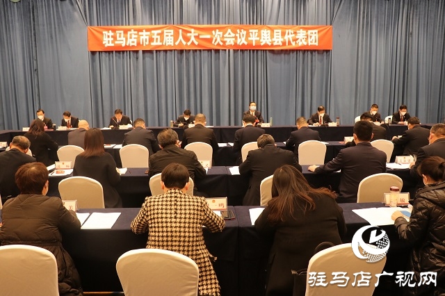 兩會(huì)時(shí)間｜駐馬店市人大代表分團(tuán)審議 政府工作報(bào)告審查計(jì)劃報(bào)告、 預(yù)算報(bào)告和草案