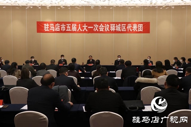兩會(huì)時(shí)間｜駐馬店市人大代表分團(tuán)審議 政府工作報(bào)告審查計(jì)劃報(bào)告、 預(yù)算報(bào)告和草案