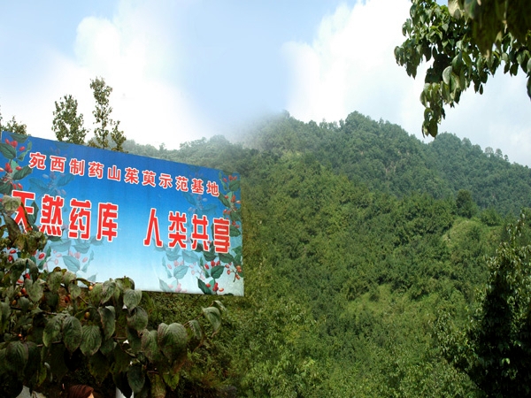 河聲：“豫”筑其室先治基，破題“制造”強(qiáng)經(jīng)濟(jì)——河南全力拼經(jīng)濟(jì)③