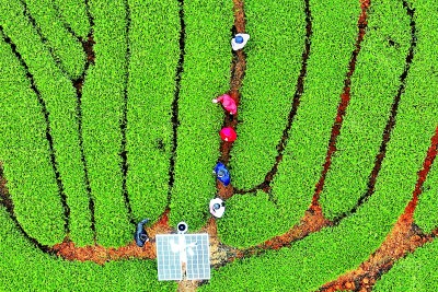 當旅游遇上&ldquo;非遺&rdquo;，玩出不一樣的&ldquo;文化味兒&rdquo;