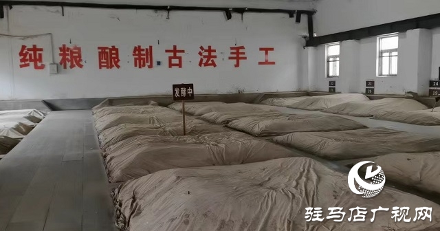 蔡洪坊酒業(yè):開足馬力忙生產(chǎn) 確保節(jié)日市場(chǎng)供應(yīng)