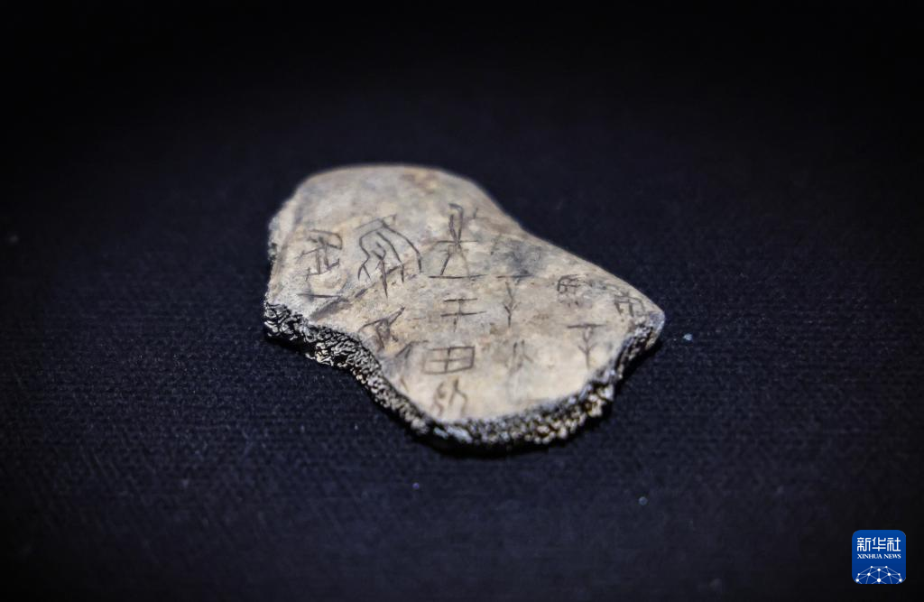 甲骨、簡牘、敦煌遺書、明清檔案首次在國家典籍博物館集中亮相