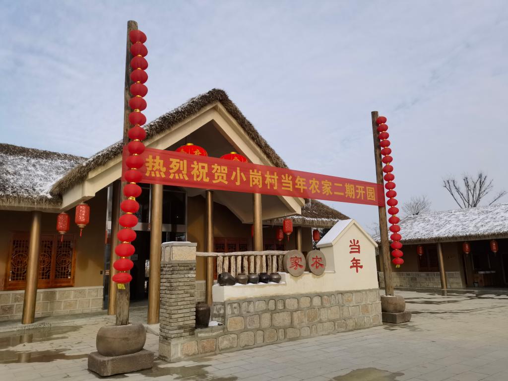 新春走基層丨小崗分紅五連增！產(chǎn)業(yè)到“崗”村民日子更紅火