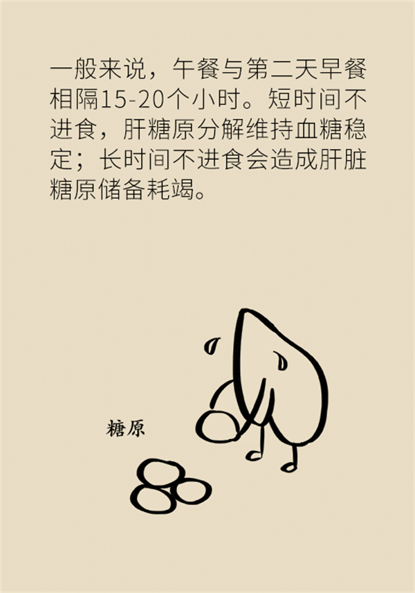 不吃晚飯減肥？專家提醒：體重或反彈更多