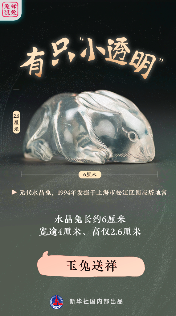 新年“兔”點(diǎn)啥？跨越時(shí)空，兔子們發(fā)來祝福！