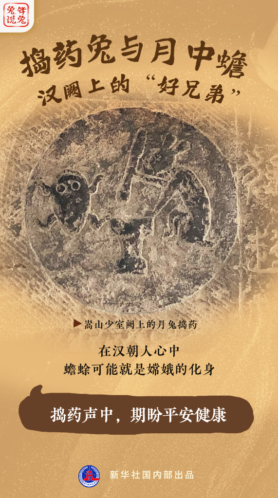 新年“兔”點(diǎn)啥？跨越時(shí)空，兔子們發(fā)來祝福！