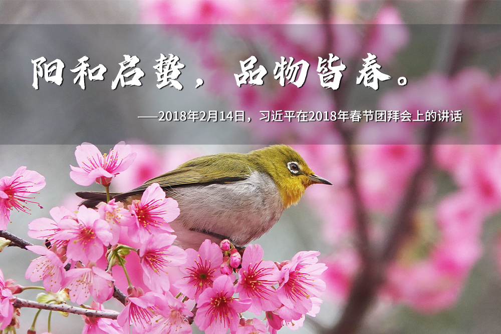 聯(lián)播+｜一年之計(jì)在于春 跟著總書記奮進(jìn)新征程