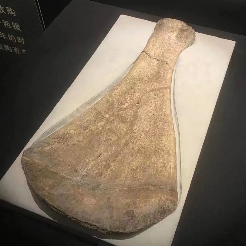 國圖大展 與安陽殷墟有關(guān)