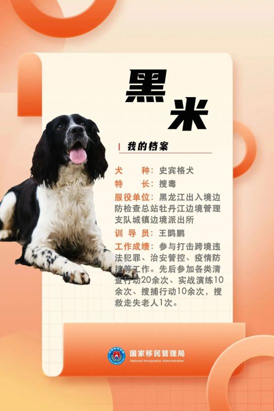 國家首批“功勛犬”，來了！