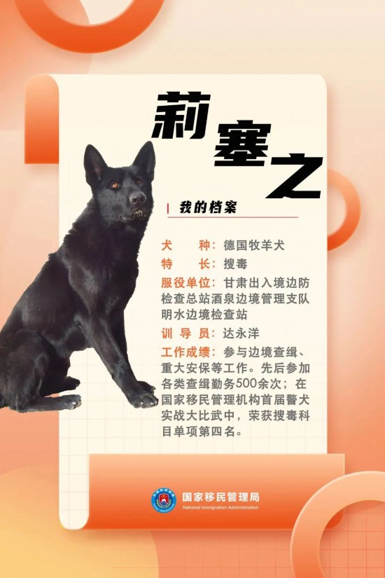 國家首批“功勛犬”，來了！