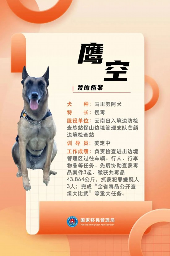 國家首批“功勛犬”，來了！