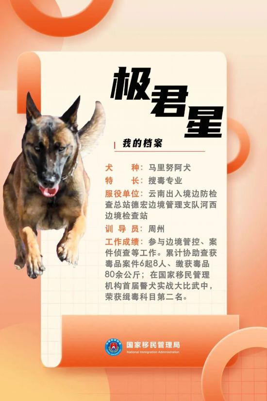 國家首批“功勛犬”，來了！