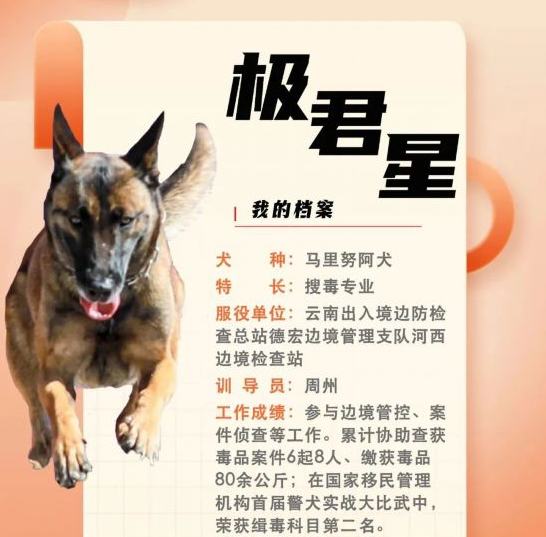 國家首批“功勛犬”，來了！