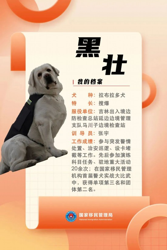 國家首批“功勛犬”，來了！