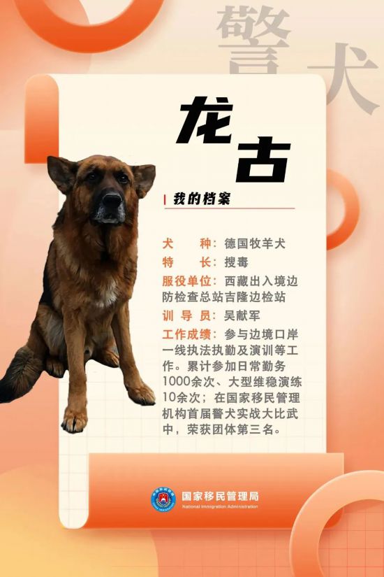 國家首批“功勛犬”，來了！