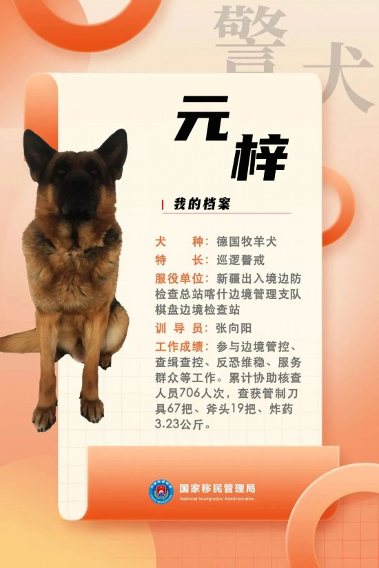 國家首批“功勛犬”，來了！