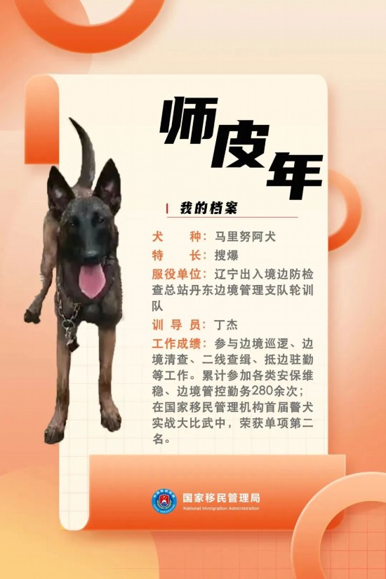 國家首批“功勛犬”，來了！