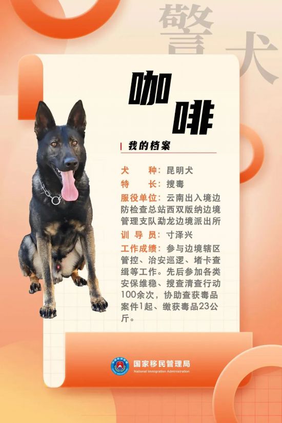 國家首批“功勛犬”，來了！