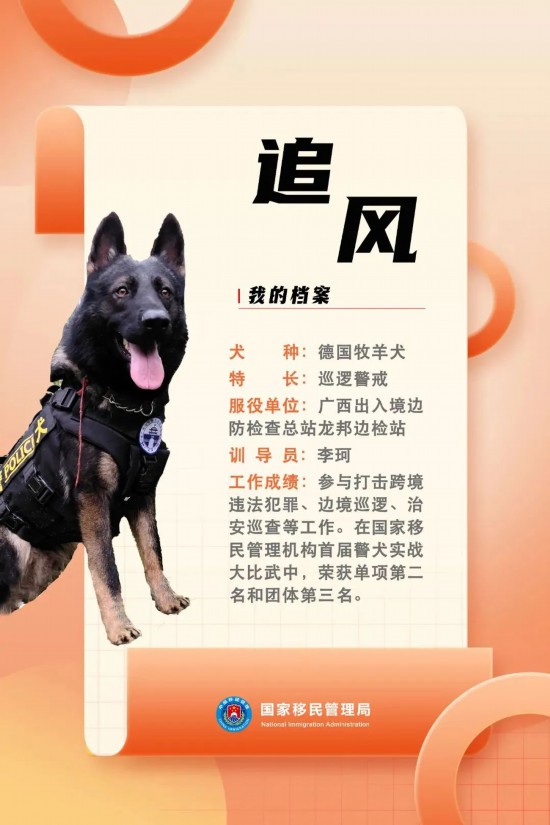 國家首批“功勛犬”，來了！