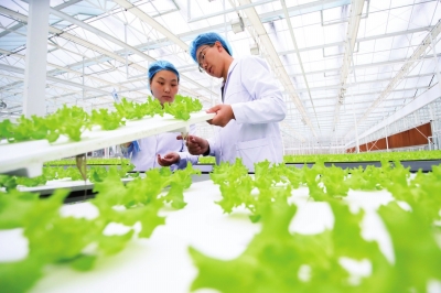 開啟新征程 加快現(xiàn)代化農(nóng)業(yè)強省建設(shè)