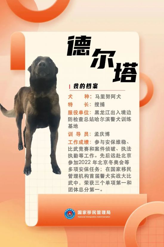 國家首批“功勛犬”，來了！