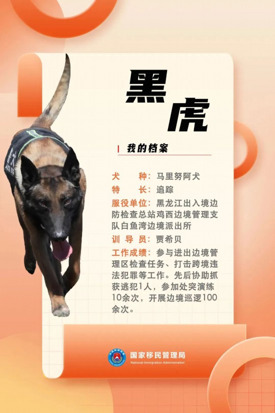 國家首批“功勛犬”，來了！
