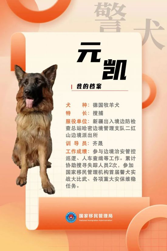 國家首批“功勛犬”，來了！