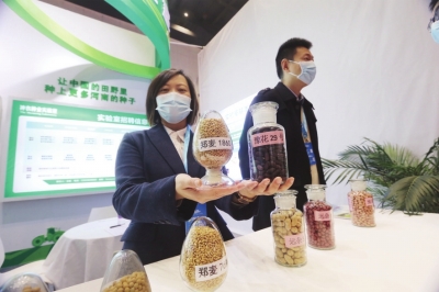 開啟新征程 加快現(xiàn)代化農(nóng)業(yè)強省建設(shè)