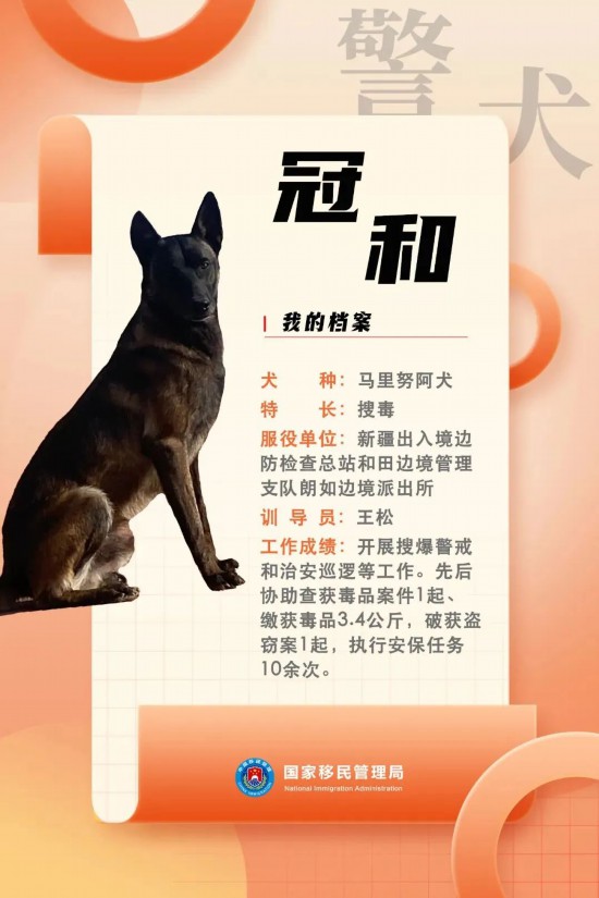 國家首批“功勛犬”，來了！