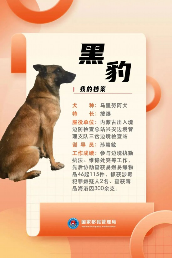 國家首批“功勛犬”，來了！