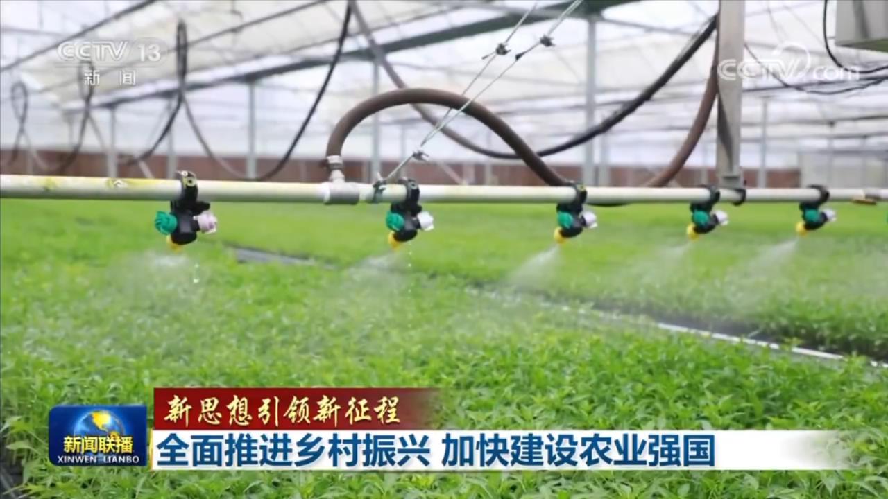 【新思想引領(lǐng)新征程】全面推進(jìn)鄉(xiāng)村振興 加快建設(shè)農(nóng)業(yè)強(qiáng)國(guó)