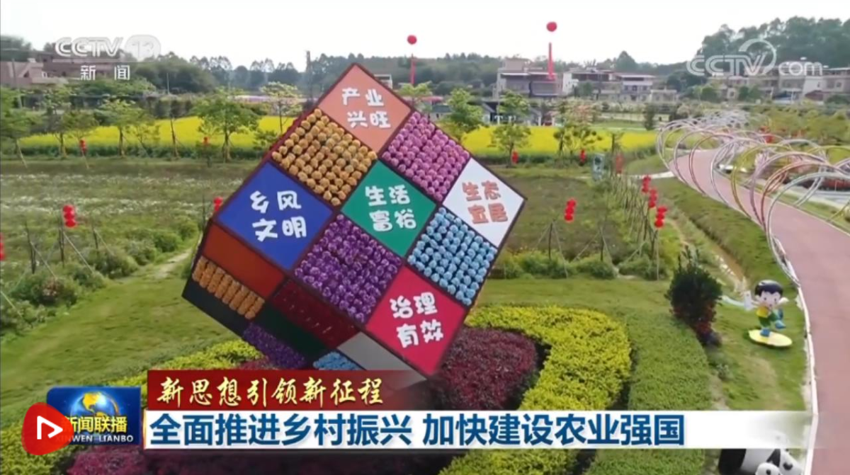 【新思想引領(lǐng)新征程】全面推進(jìn)鄉(xiāng)村振興 加快建設(shè)農(nóng)業(yè)強(qiáng)國(guó)