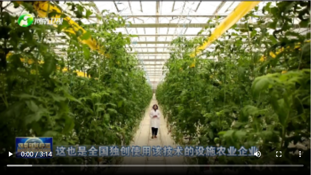 【手中有糧】“大食物”托起舌尖上的“小幸福”