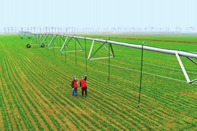 聚焦省委農(nóng)村工作會(huì)議 | 揚(yáng)優(yōu)勢(shì)補(bǔ)短板 農(nóng)業(yè)強(qiáng)省建設(shè)加速跑