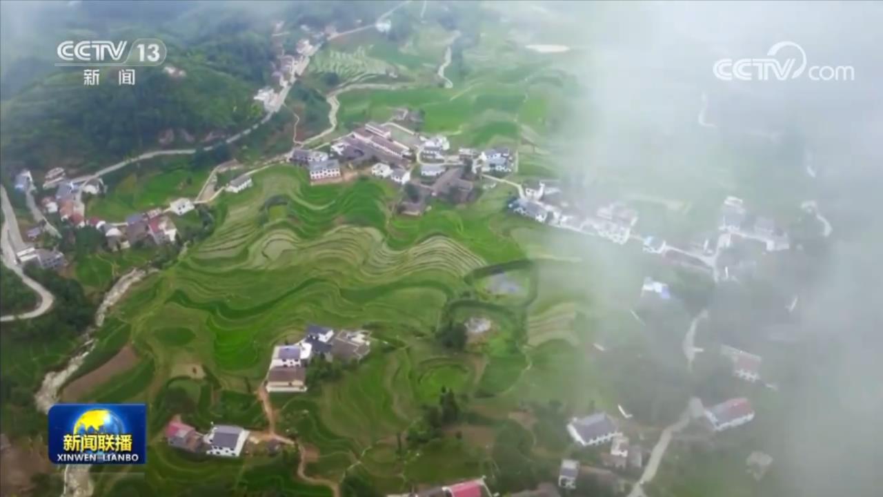 【新思想引領(lǐng)新征程】全面推進(jìn)鄉(xiāng)村振興 加快建設(shè)農(nóng)業(yè)強(qiáng)國(guó)