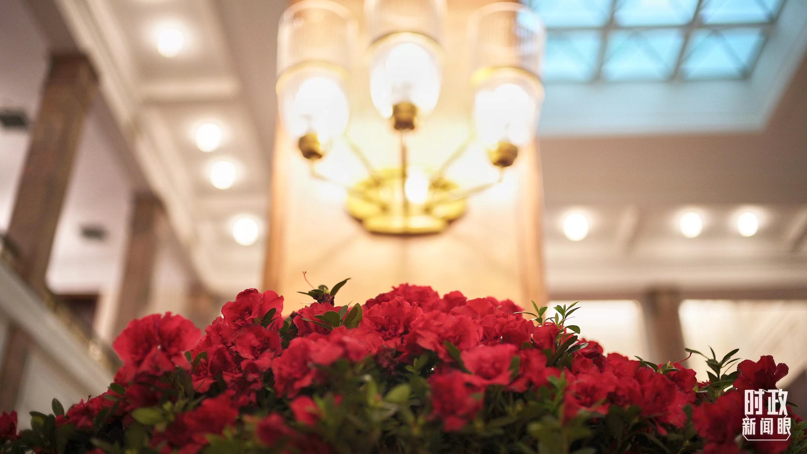 時政新聞眼丨習(xí)近平會見這兩位外國領(lǐng)導(dǎo)人，重點談了什么？