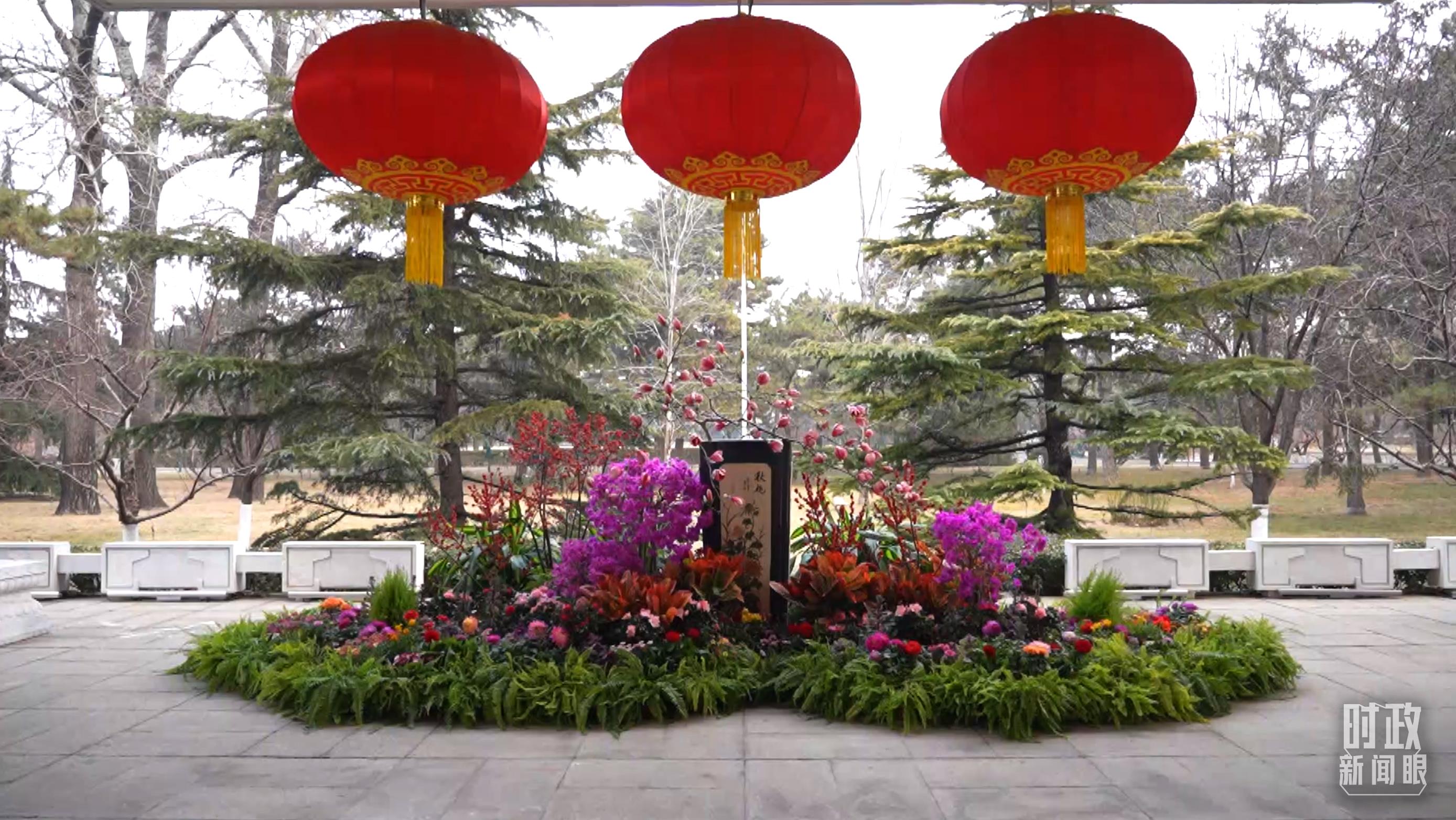 時政新聞眼丨習(xí)近平會見這兩位外國領(lǐng)導(dǎo)人，重點談了什么？