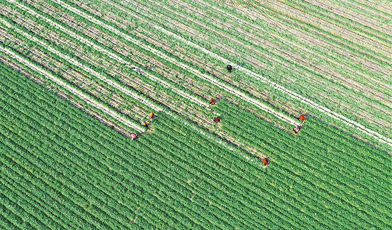 為全面建設(shè)社會(huì)主義現(xiàn)代化國(guó)家開(kāi)好局起好步