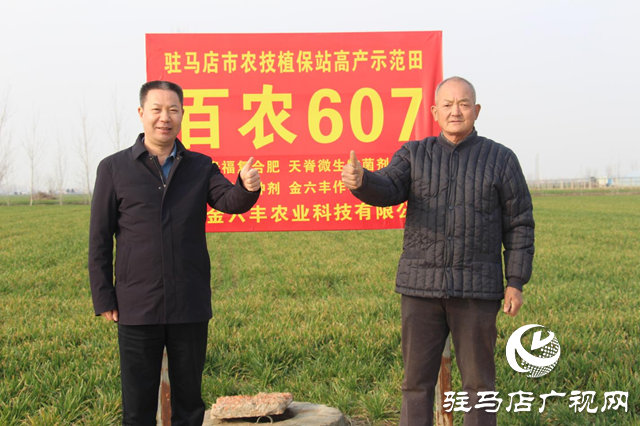 駐馬店市農(nóng)業(yè)專家田間&ldquo;支招&rdquo;春季麥田管理