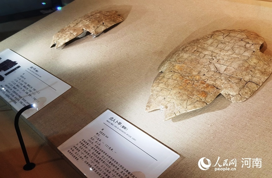 寫意中國探尋漢字起源|中國文字博物館：講好中國文字故事