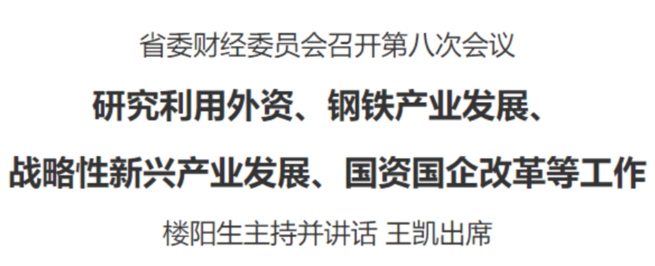 河南省委財經(jīng)委員會召開第八次會議